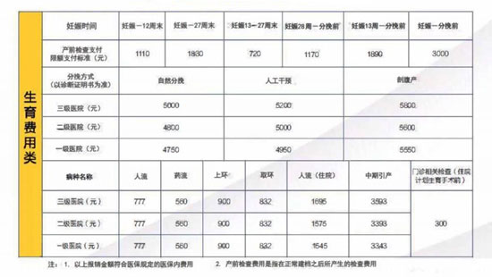 生育保险要交多久才能报销